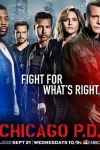 Полиция Чикаго 13 сезон 